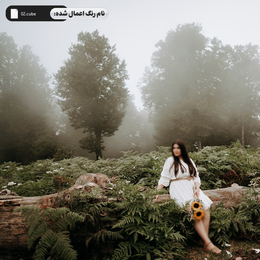 جعبه ابزار طراحی آلبوم ودینگ