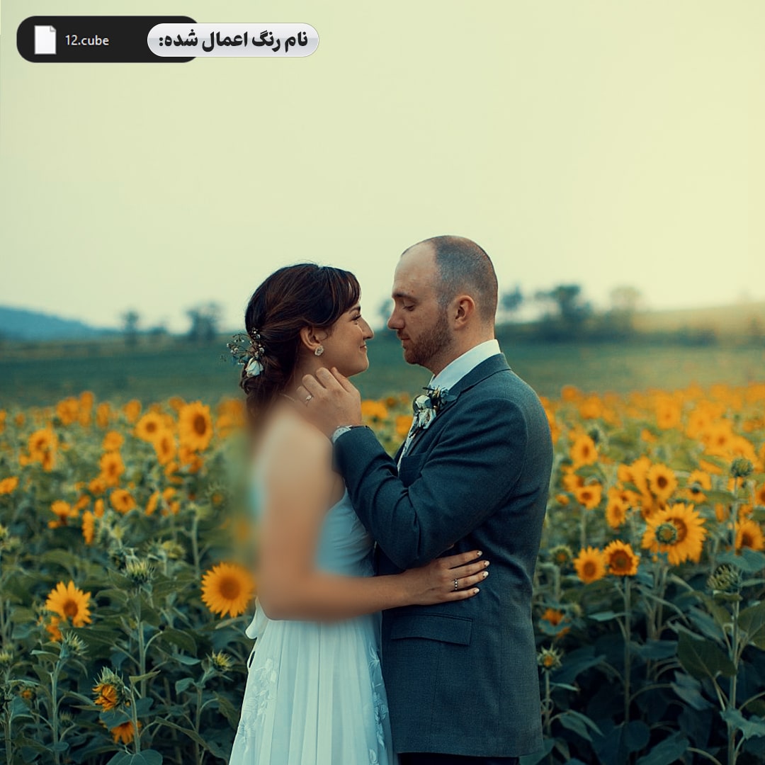 جعبه ابزار طراحی آلبوم ودینگ