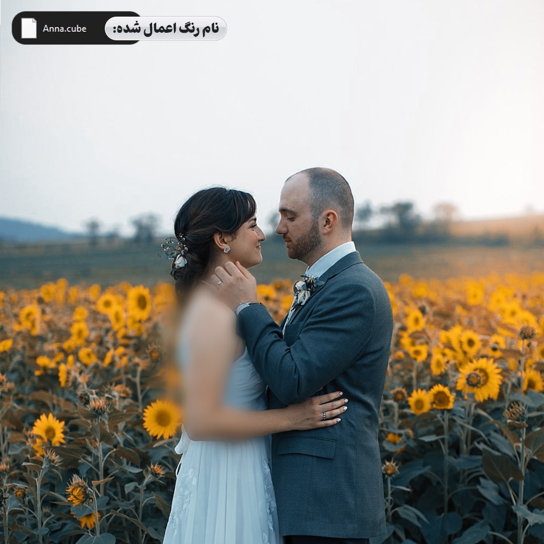 جعبه ابزار طراحی آلبوم ودینگ