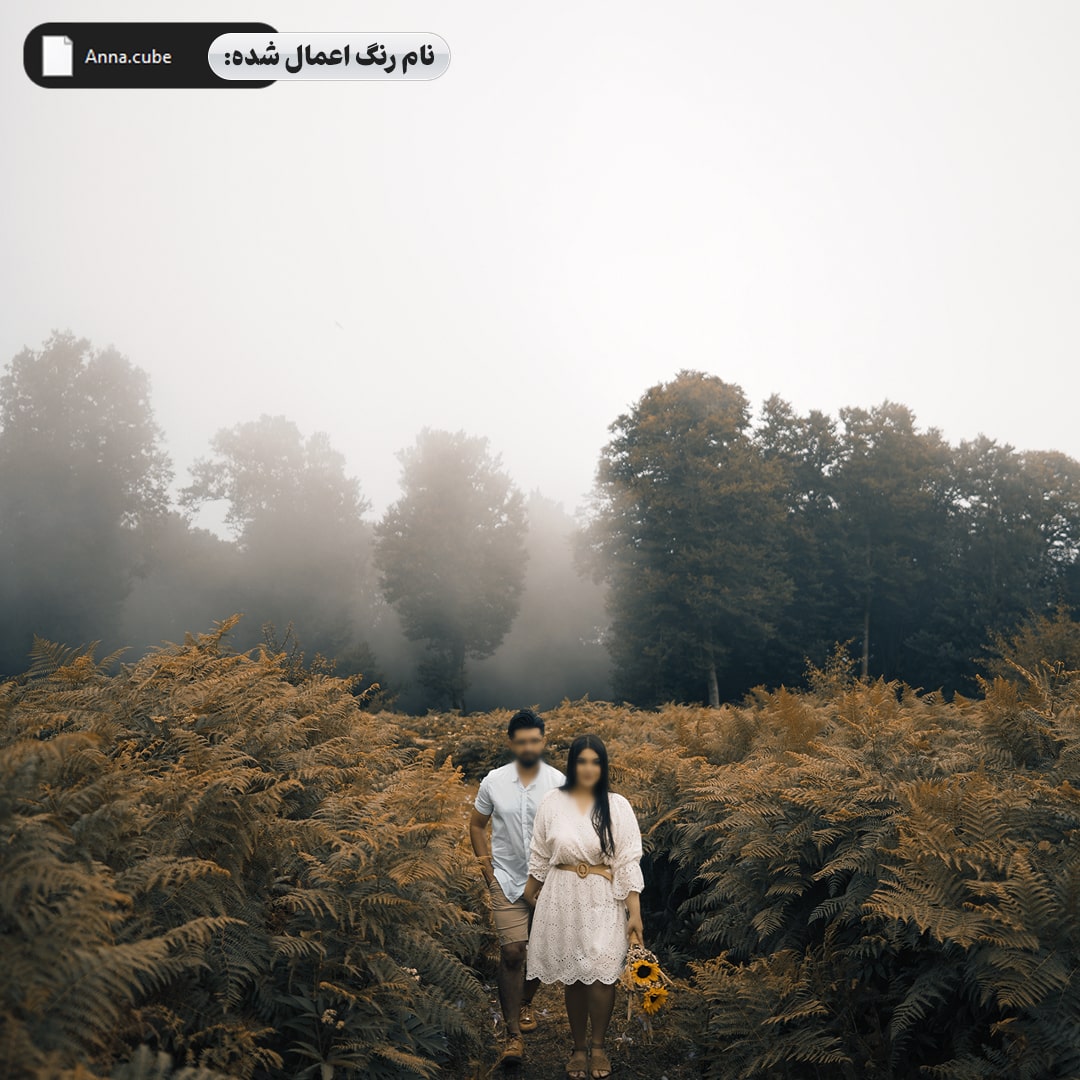 جعبه ابزار طراحی آلبوم ودینگ
