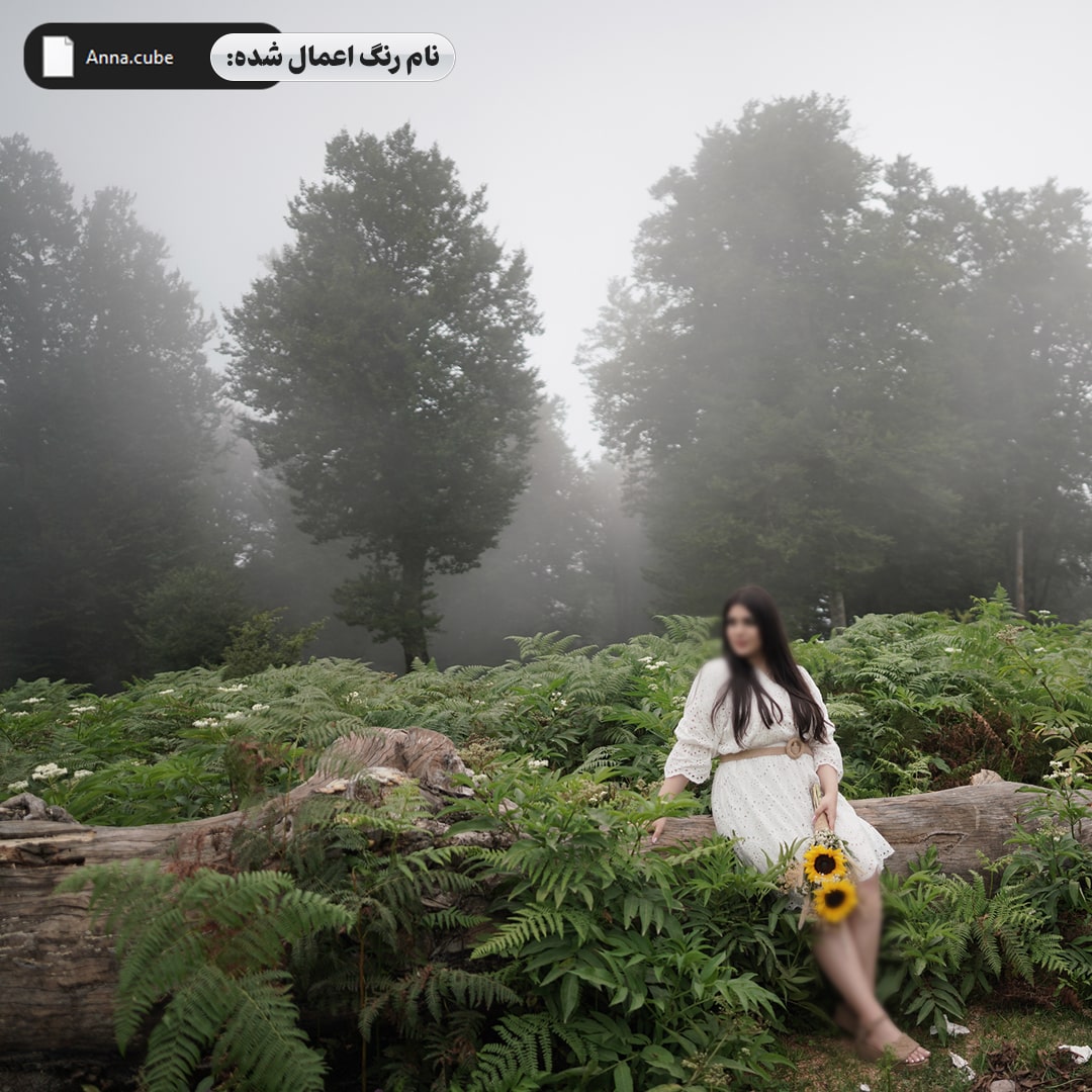 جعبه ابزار طراحی آلبوم ودینگ