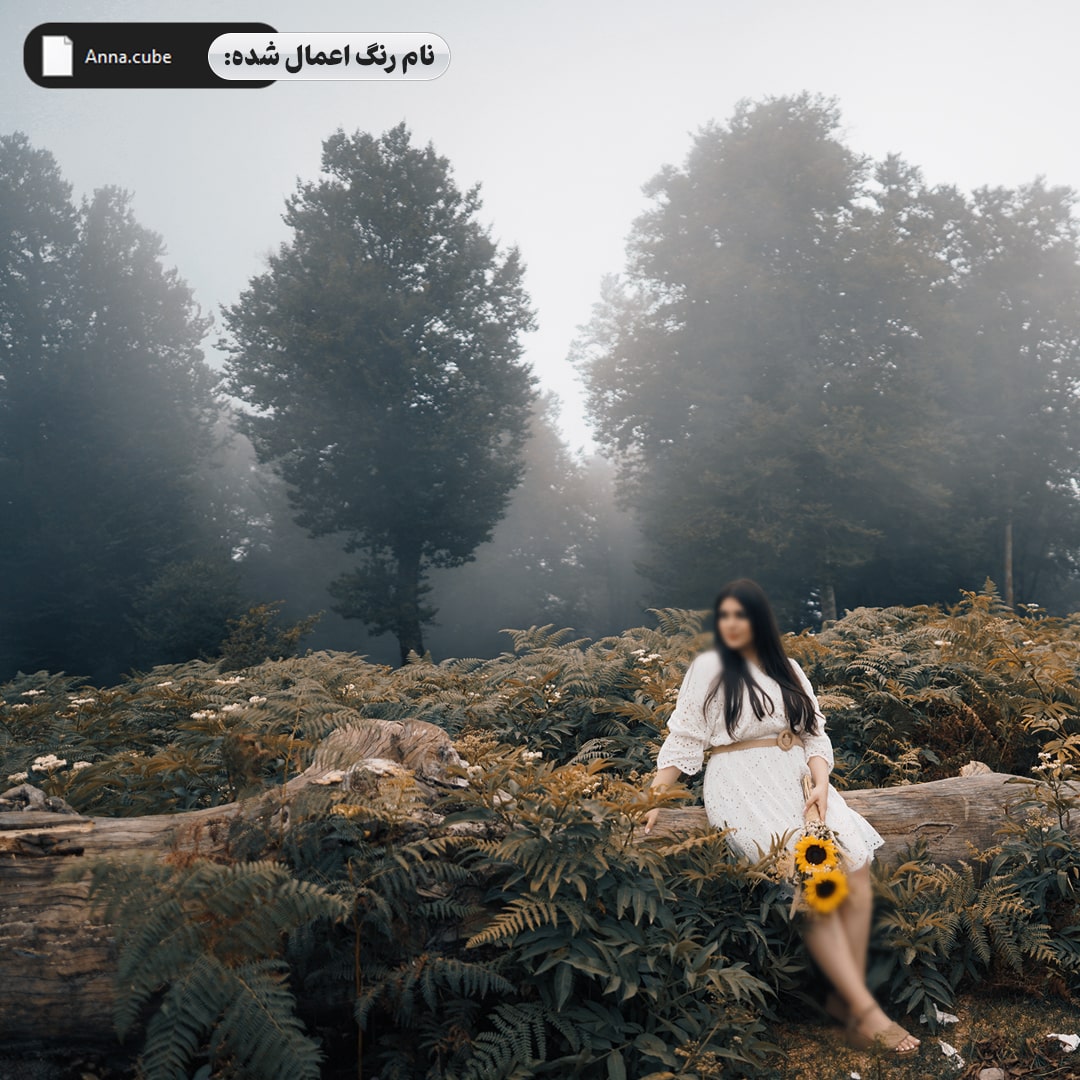 جعبه ابزار طراحی آلبوم ودینگ